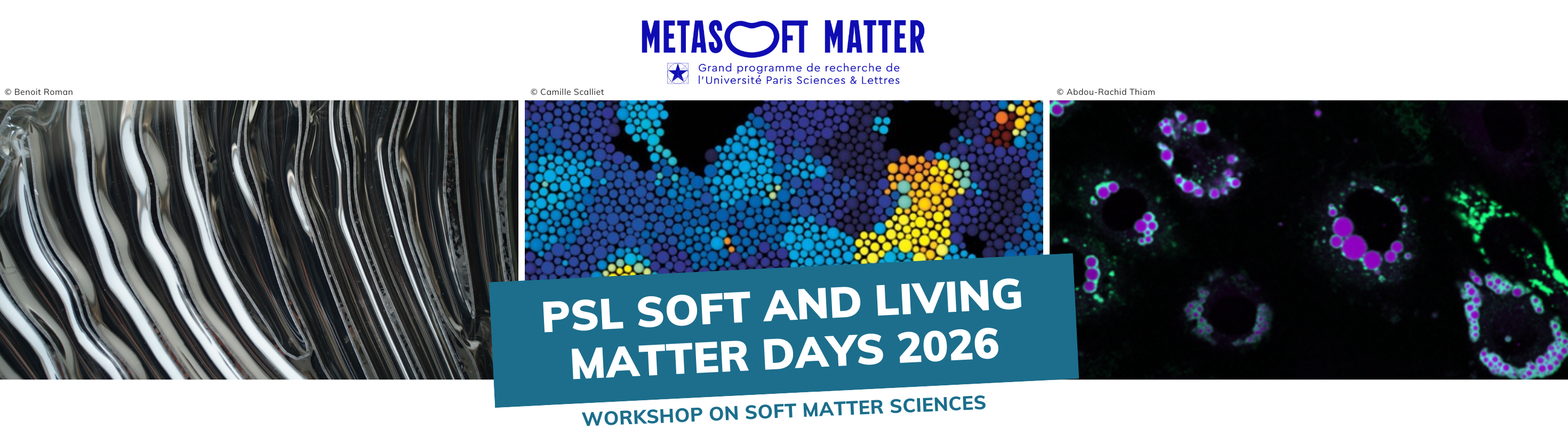 PSL Soft and Living Matter days 2026>